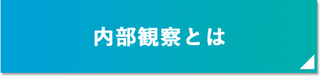 内部観察とは